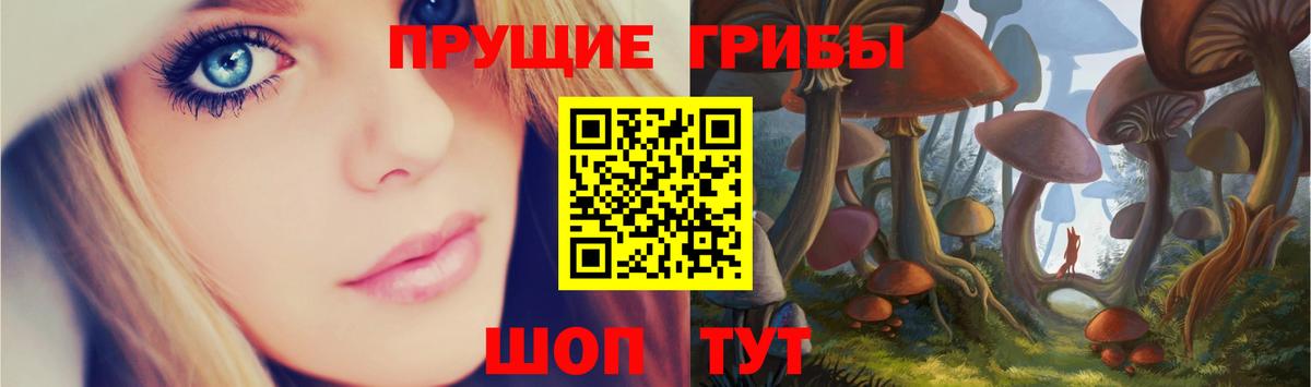 магазин  наркотиков  Вход с VPN  Киров  Псилоцибиновые грибы ЛСД 